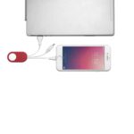 Cable Adaptador Felin - Imagen 4